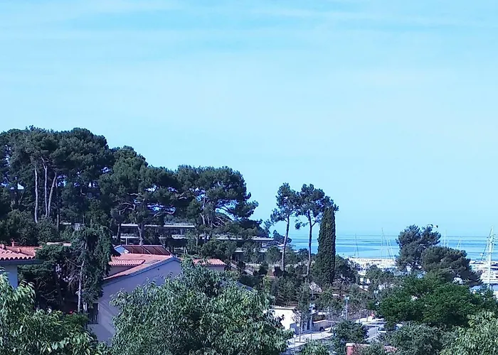 Bella * Ρόβινι